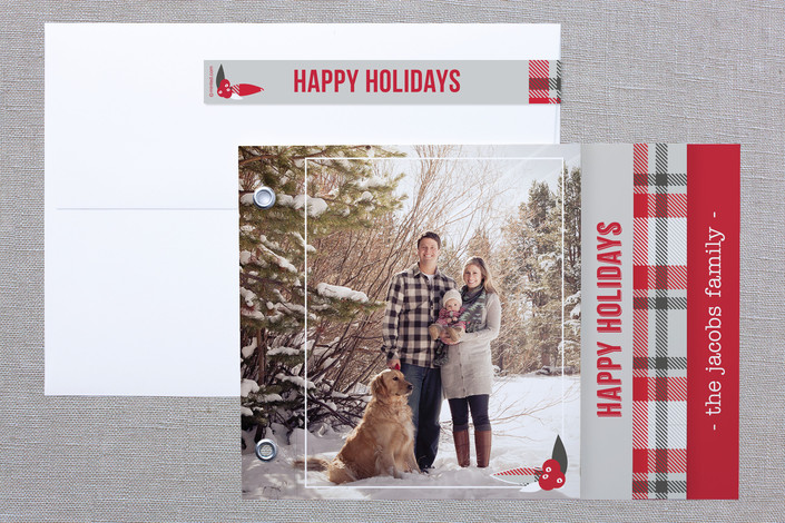 Plaid Holiday Holiday Minibook™ Cards