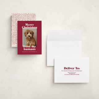 This is a pomegranate petite holiday cards with standard by Annie Clark called happy howlidays printing on recycled smooth signature in petite