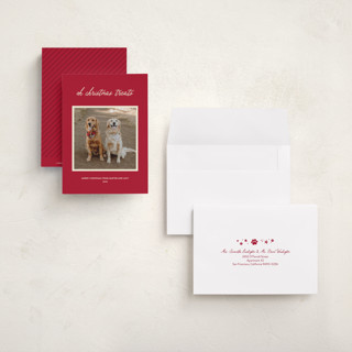 This is a red chew toy petite holiday cards with standard by Sarah Hawkins Designs called christmas treats printing on recycled smooth signature in petite