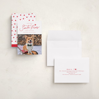 This is a cherry petite holiday cards with standard by Everett Paper Goods called here comes santa paws printing on recycled smooth signature in petite