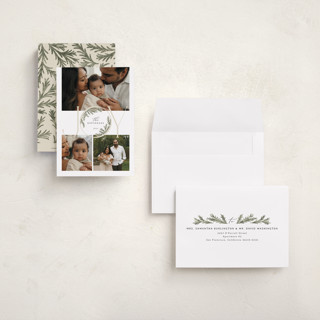 This is a moss petite holiday cards with standard by Paula Pecevich called inner pine wreath printing on recycled smooth signature in petite