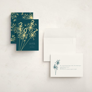 This is a peacock petite holiday cards with standard by Paula Pecevich called sparklers printing on signature in petite