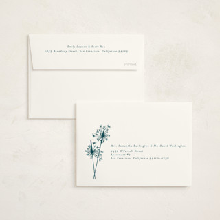 This is a peacock petite holiday cards with standard by Paula Pecevich called sparklers printing on signature in petite