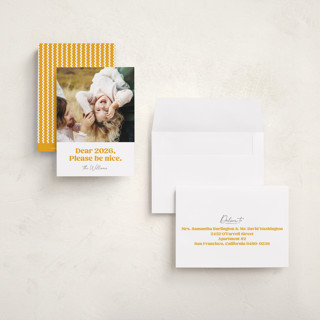 This is a snow petite holiday cards with standard by Robert and Stella called pretty please printing on recycled smooth signature in petite