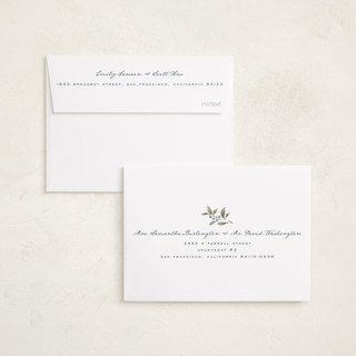 This is a juniper berry petite holiday cards with standard by Wildfield Paper Co called poinsettia + pine printing on recycled smooth signature in petite