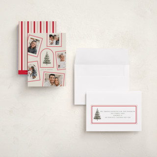 This is a buttercream petite holiday cards with standard by Baumbirdy called photo album printing on recycled smooth signature in petite