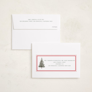 This is a buttercream petite holiday cards with standard by Baumbirdy called photo album printing on recycled smooth signature in petite