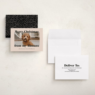 This is a sugar cookies petite holiday cards with standard by Annie Clark called happy howlidays printing on recycled smooth signature in petite