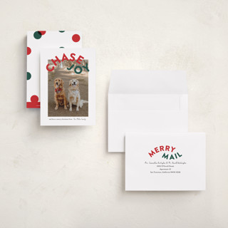 This is a holly petite holiday cards with standard by Angela Garrick called chase joy printing on recycled smooth signature in petite