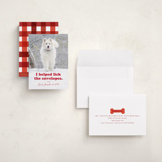 This is a chewed stocking petite holiday cards with standard by Hudson meet Rose called helping printing on recycled smooth signature in petite