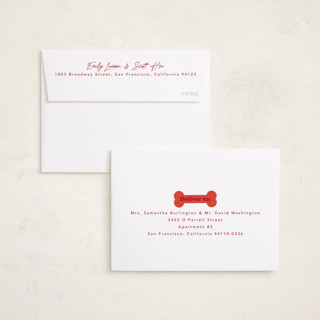 This is a chewed stocking petite holiday cards with standard by Hudson meet Rose called helping printing on recycled smooth signature in petite