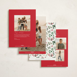 This is a snow foil pressed holiday cards with foil pressed by Susan Moyal called festive holiday printing on signature in standard