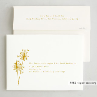 This is a champagne non photo holiday cards with standard by Paula Pecevich called sparklers printing on signature in standard