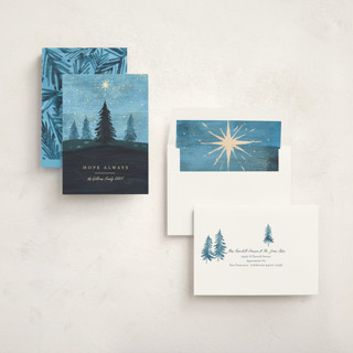 This is a blue spruce non photo holiday cards with standard by Rebecca Daublin called hope shines printing on signature in standard
