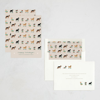 This is a cookie dough non photo holiday cards with standard by tara berg called holiday dogs printing on signature in standard