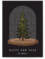 plain holiday photo cards