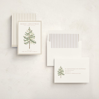 This is a snow non photo holiday cards with standard by Amy Kross called vintage spruce printing on signature in standard