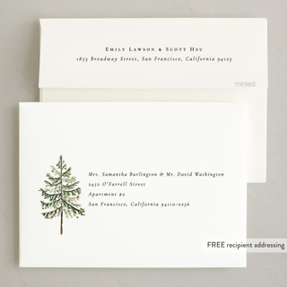 This is a pine non photo holiday cards with standard by Amy Kross called vintage spruce printing on signature in standard