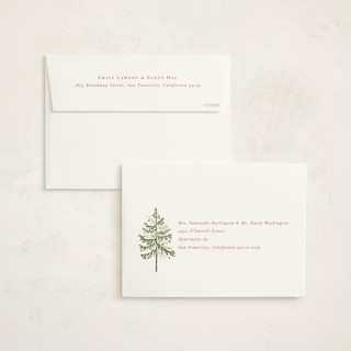 This is a snow non photo holiday cards with standard by Amy Kross called vintage spruce printing on signature in standard