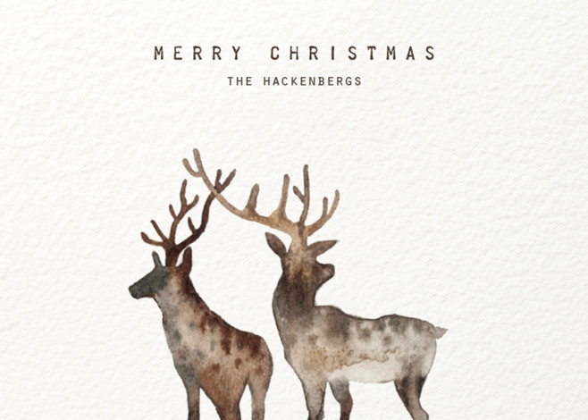 minted merry christmas my deers card