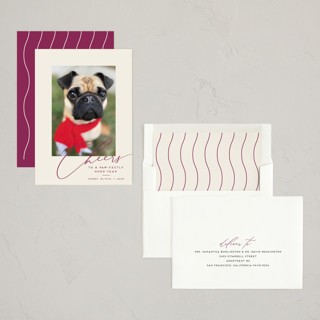 This is a mulberry new year photo cards with standard by Louise Kay called happy pets printing on recycled smooth signature in standard
