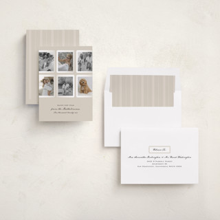 This is a vanilla spice new year photo cards with standard by Corinne Malesic called vintage ephemera printing on recycled smooth signature in standard