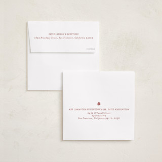 This is a petal holiday card ornaments with standard by Pati Cascino called noelle printing on recycled smooth signature in ornament