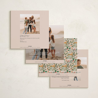 This is a winter rose holiday photo cards with standard by Elly called garden folk printing on recycled smooth signature in square