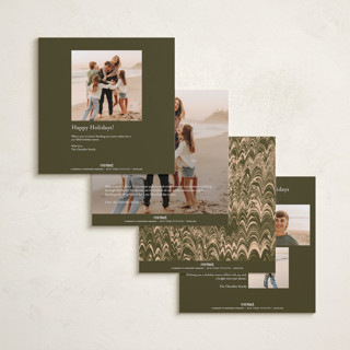 This is a olive branch holiday photo cards with standard by Claire called vintage photo printing on recycled smooth signature in square
