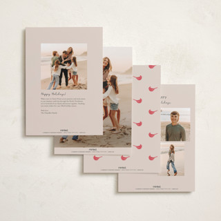This is a cream holiday photo cards with standard by Kristen Knechtel called cardinals printing on recycled smooth signature in standard