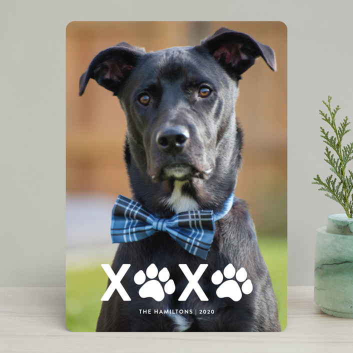 XOXO holiday card