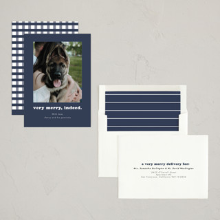 This is a midnight holiday photo cards with standard by Kristen Knechtel called indeed printing on recycled smooth signature in standard