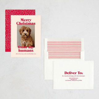 This is a cherry holiday photo cards with standard by Annie Clark called happy howlidays printing on recycled smooth signature in standard