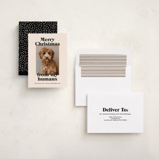 This is a sugar cookies holiday photo cards with standard by Annie Clark called happy howlidays printing on recycled smooth signature in standard