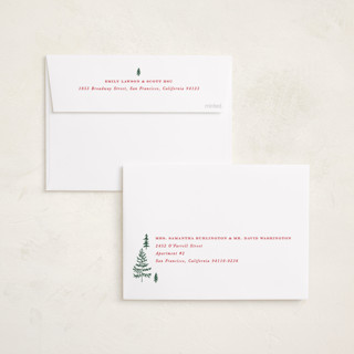 This is a pine holiday photo cards with standard by Amy Kross called durham printing on recycled smooth signature in standard