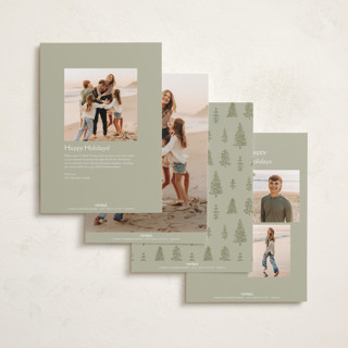This is a snow holiday photo cards with standard by Amy Kross called emblem printing on recycled smooth signature in standard