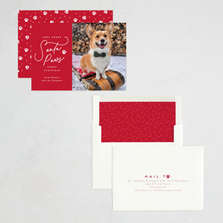 This is a candied apple holiday photo cards with standard by Everett Paper Goods called here comes santa paws printing on recycled smooth signature in standard