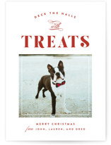 Pet Holiday Cards | Minted