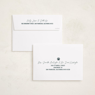 This is a blue spruce holiday photo cards with standard by Brooke Chandler called our pack to yours printing on recycled smooth signature in standard