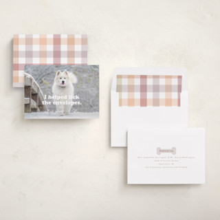 This is a bone holiday photo cards with standard by Hudson meet Rose called helping printing on recycled smooth signature in standard