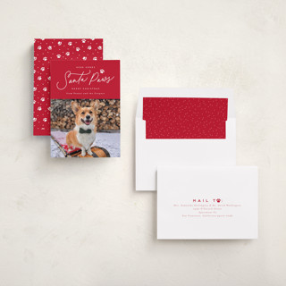 This is a candied apple holiday photo cards with standard by Everett Paper Goods called here comes santa paws printing on recycled smooth signature in standard