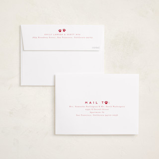 This is a candied apple holiday photo cards with standard by Everett Paper Goods called here comes santa paws printing on recycled smooth signature in standard