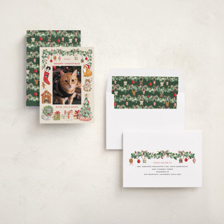 This is a vintage holiday photo cards with standard by Sarah Knight called meowy christmas printing on recycled smooth signature in standard