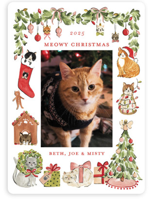 This is a pine holiday photo cards with standard by Sarah Knight called meowy christmas printing on recycled smooth signature in standard