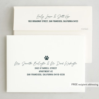 This is a blue spruce holiday photo cards with standard by Brooke Chandler called our pack to yours printing on recycled smooth signature in standard