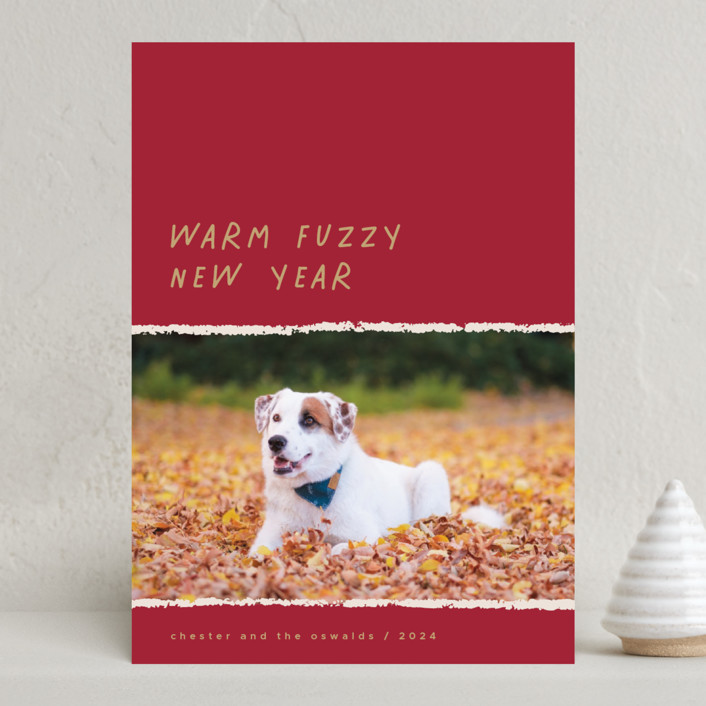 Warm Fuzzy Holiday Photo Cards by Merian | Minted