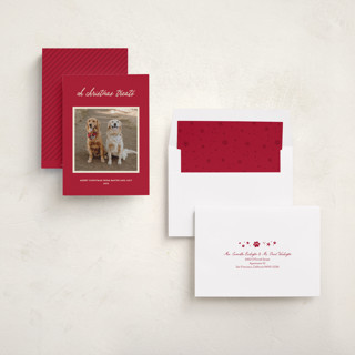 This is a red chew toy holiday photo cards with standard by Sarah Hawkins Designs called christmas treats printing on recycled smooth signature in standard
