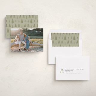 This is a snow holiday photo cards with standard by Amy Kross called emblem printing on recycled smooth signature in standard