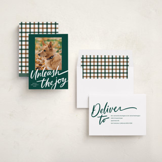 This is a evergreen holiday photo cards with standard by Erin German called unleash the joy printing on recycled smooth signature in standard