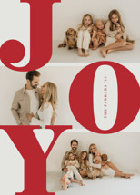 Bold Joy Holiday Photo Cards By Brianne Larsen